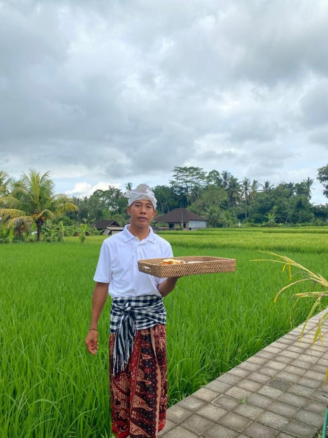 Ab Ubud Luxury Villa Экстерьер фото
